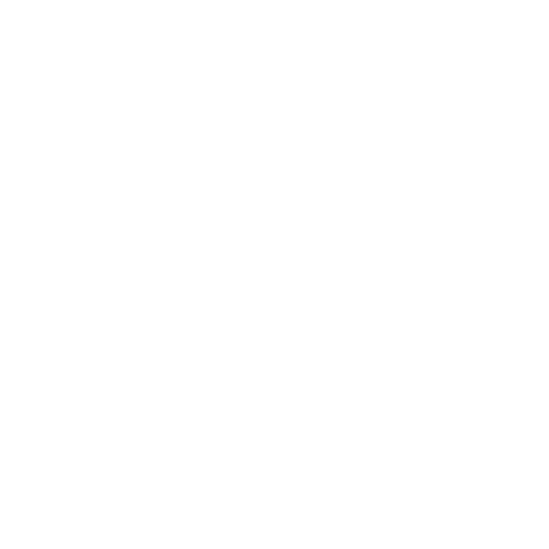 Intersport