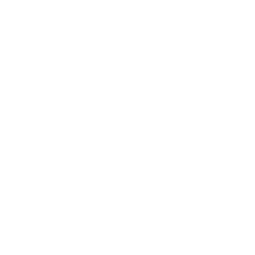 Logo Kipsta