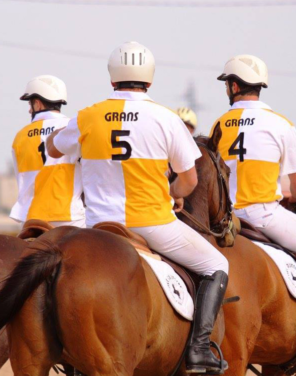 Grans horse ball polo