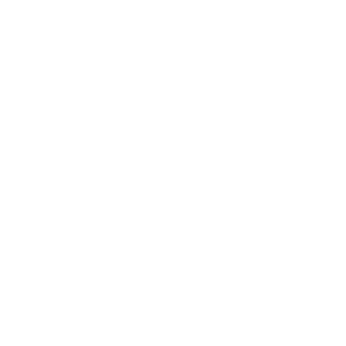 Ronde Givrée Auchan